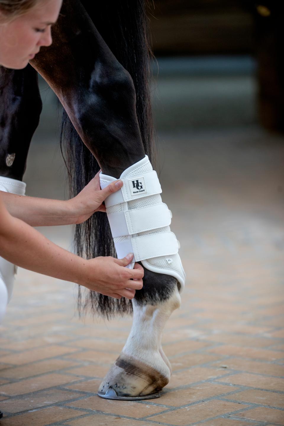 HorseGuard Timothy mesh dressurgamacher