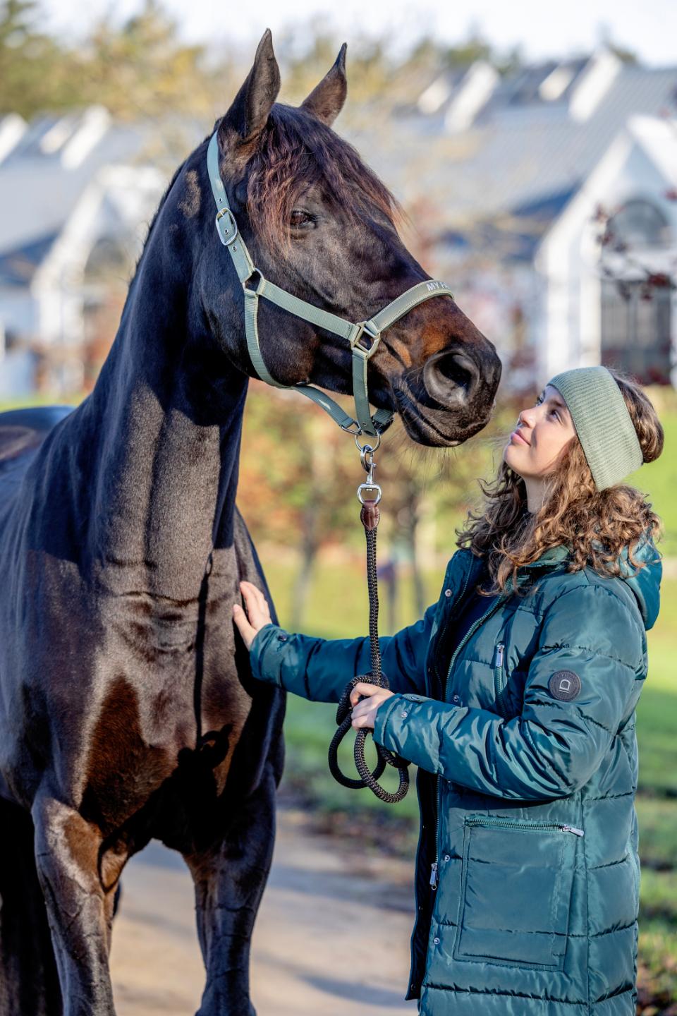 Horse Guard Malva grime "My Favorite"