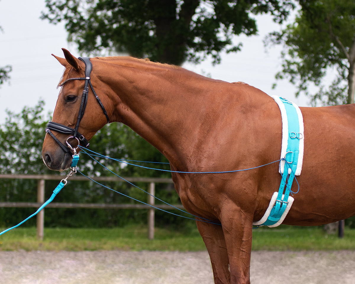 QHP Longetov i taske