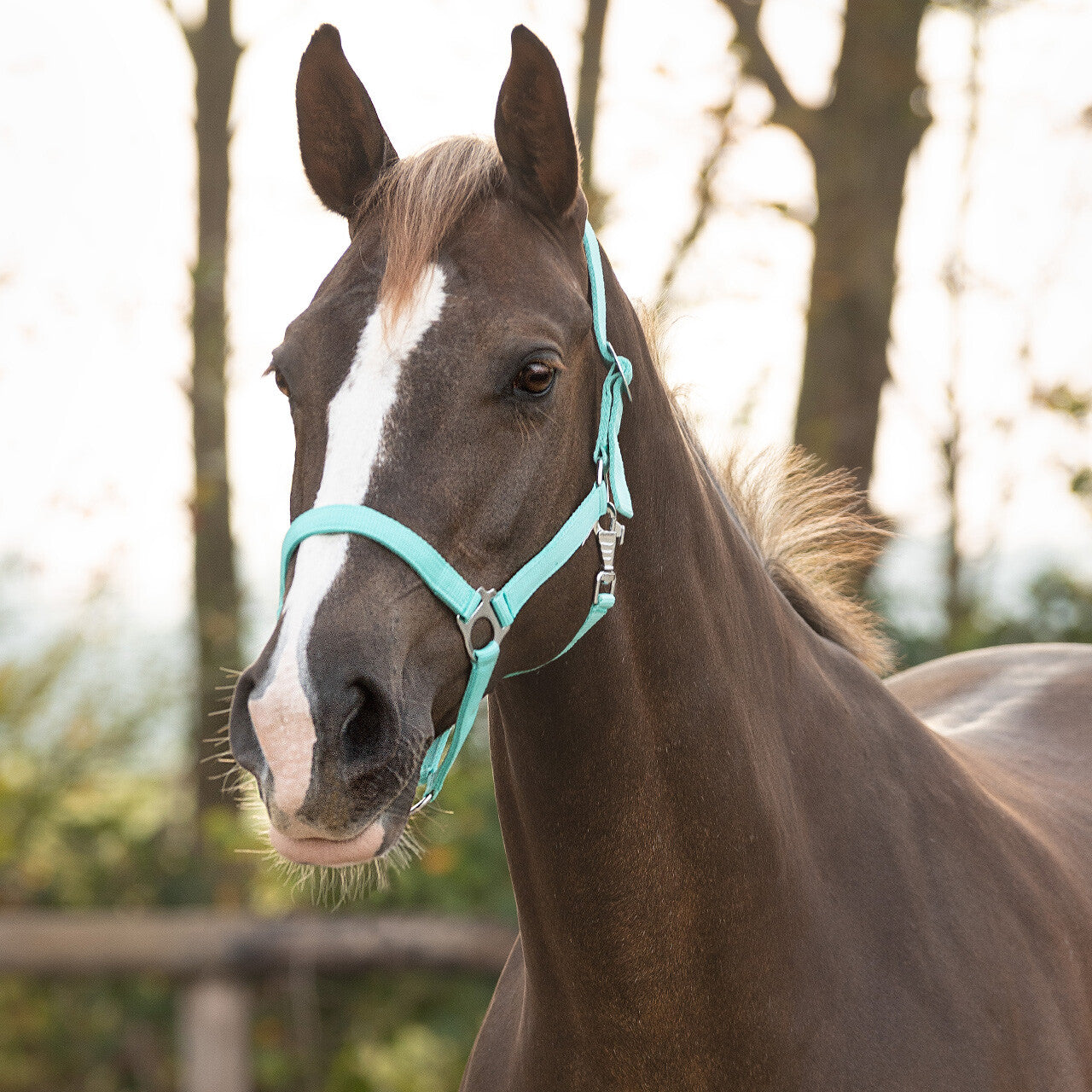 QHP Nylongrime - Flere farver