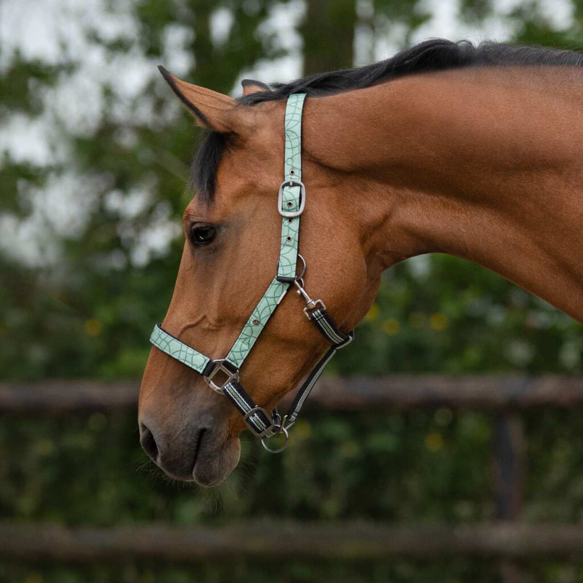 QHP Turnout Collection grimesæt 8