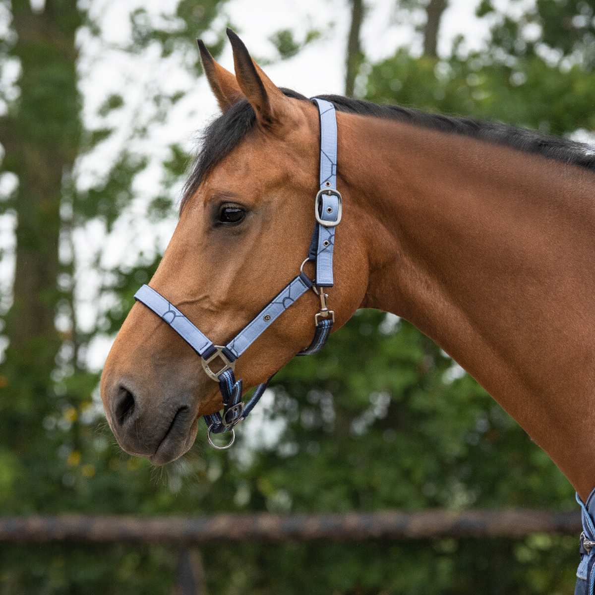QHP Turnout Collection grimesæt 2