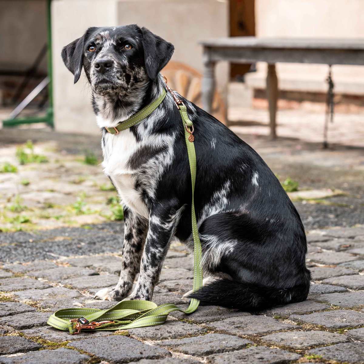 HKM Qooper nylon hundesnor 2