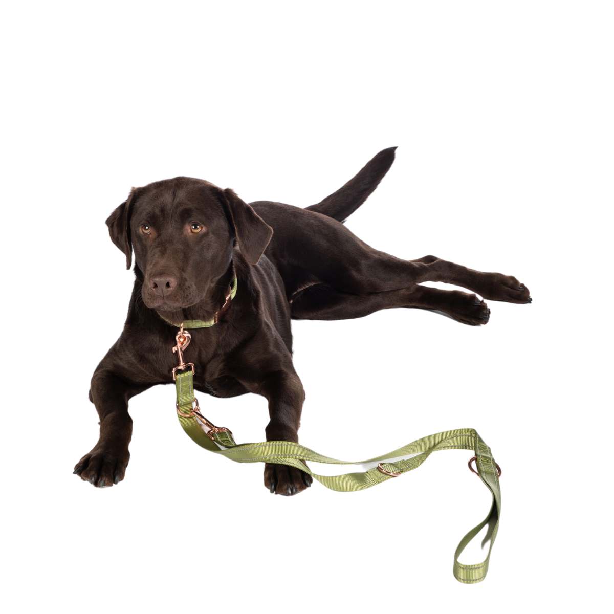 HKM Qooper nylon hundesnor 6