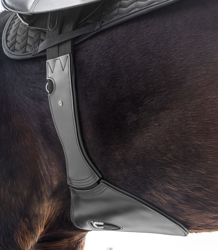 Waldhausen Leather Girth, with elastic and stud guard