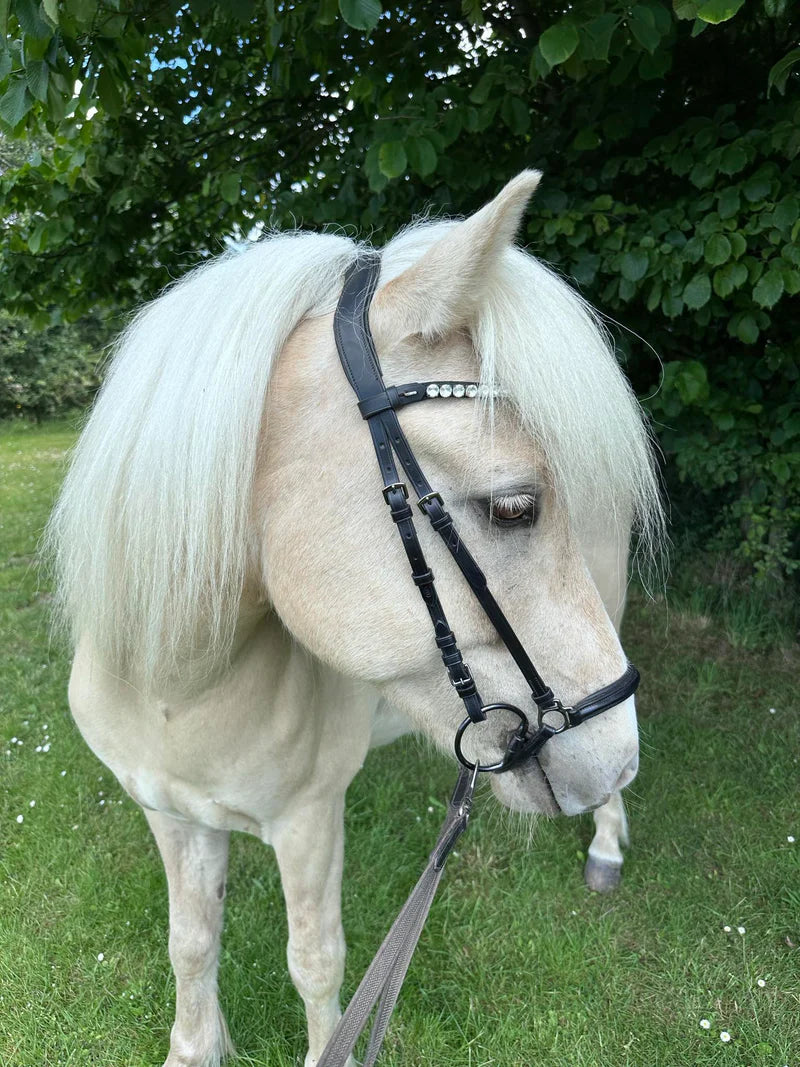 PH deluxe pandebånd “Big diamonds” clear