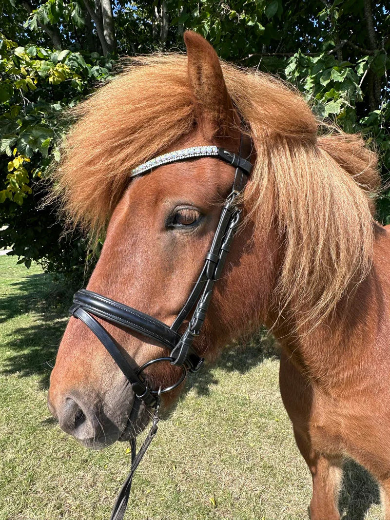 PH deluxe pandebånd diamond 3 rows rainbow