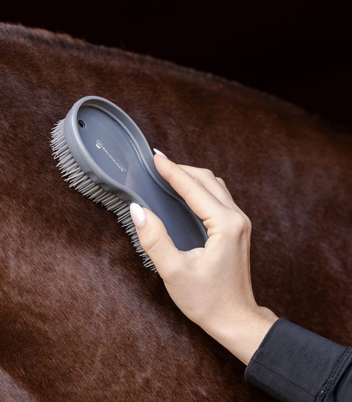 Waldhausen All-in-one brush