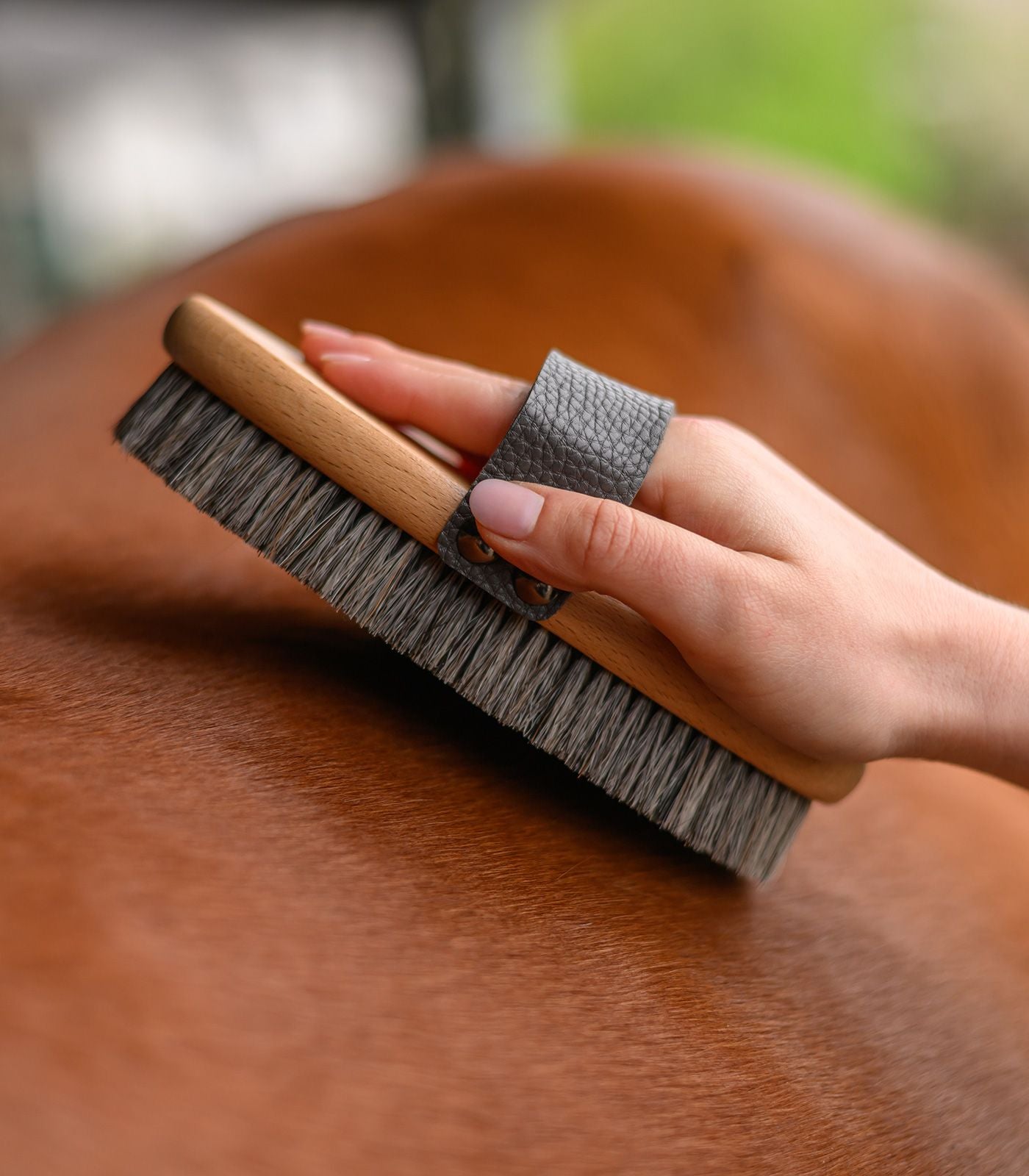 Waldhausen Exclusive Line Body Brush