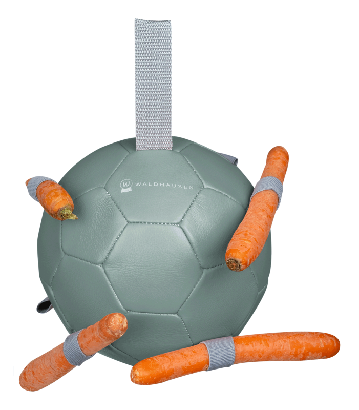 Waldhausen Gulerodbold