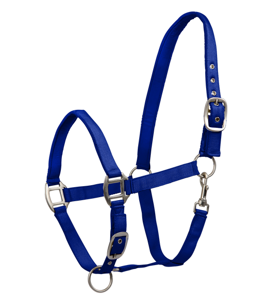 Waldhausen Halter Satin - Saphire Blue 7