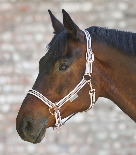 Waldhausen Shine Halter - Hvid/Rosaguld 5