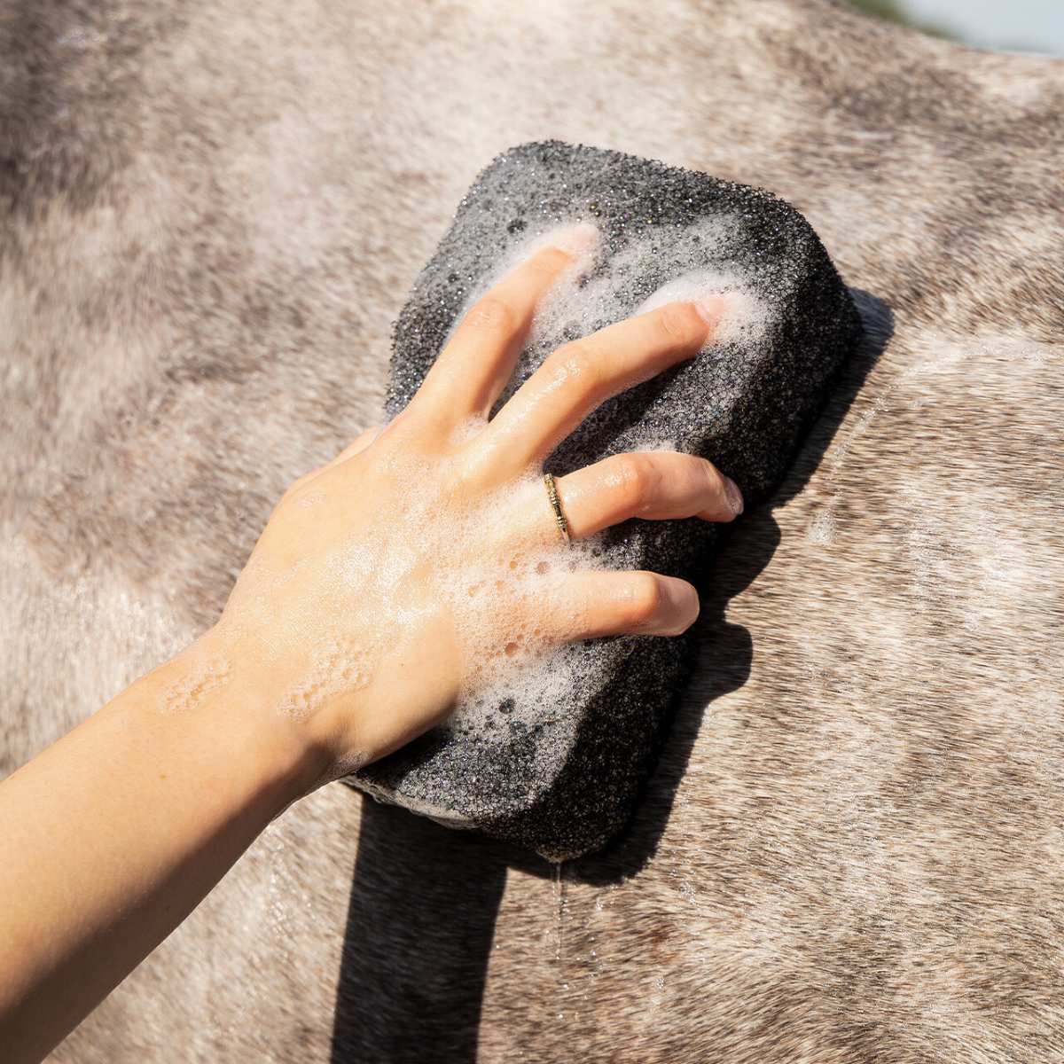 QHP Equi Super Shine svamp 8