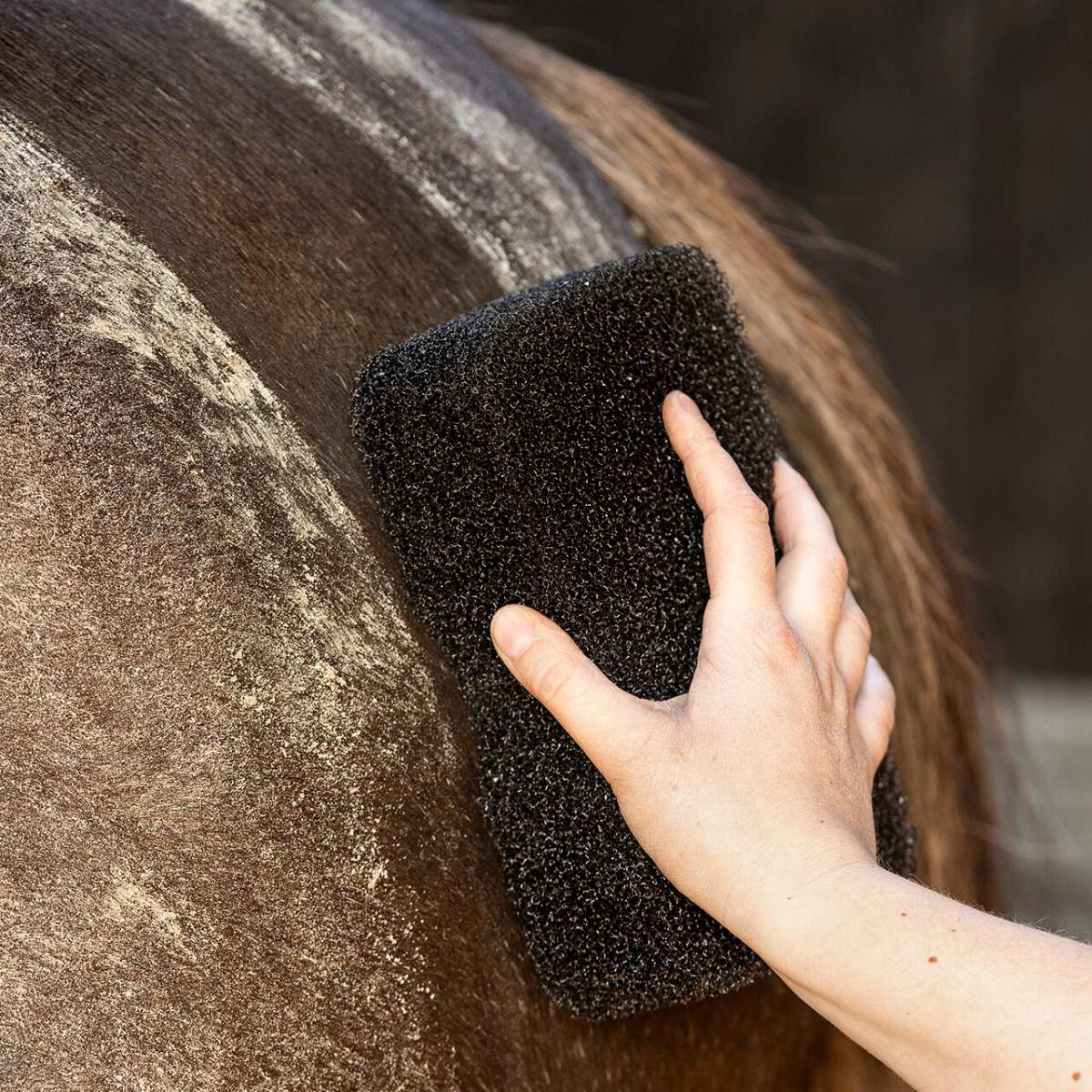 QHP Equi Super Shine svamp 2