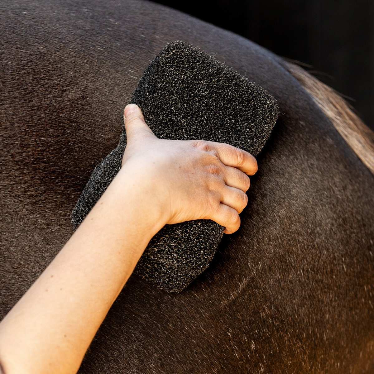 QHP Equi Super Shine svamp 5