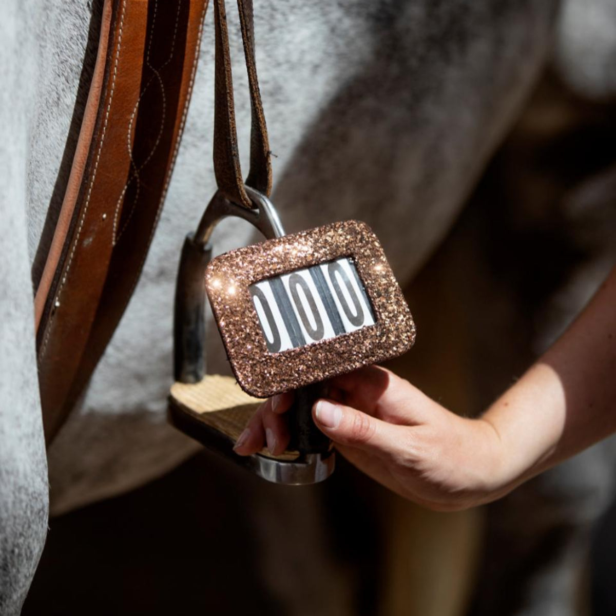 HorseGuard stævnenummer - Brun