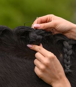 Waldhausen Mane-Plaiting Set
