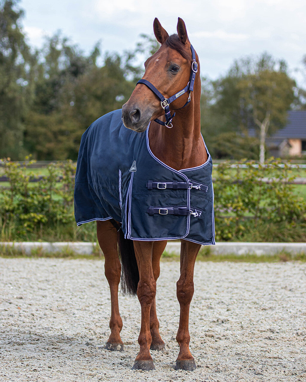 QHP Luxe Turnout dækken 100g 2