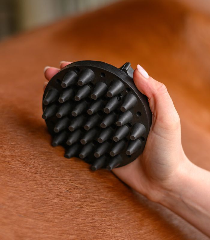 Waldhausen Rubber Groomer Magic Curry Comb