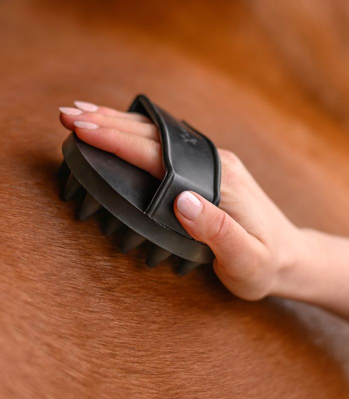 Waldhausen Rubber Groomer Magic Curry Comb