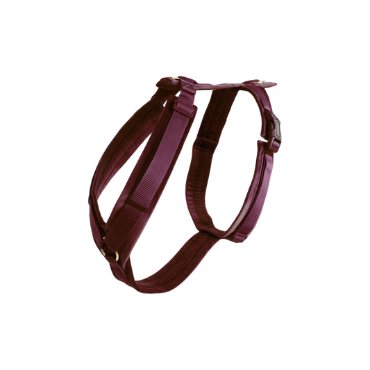 Kentucky Hundesele Active Velvet - Flere Farver