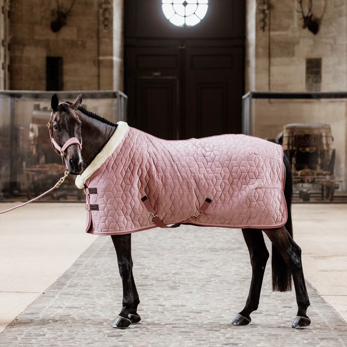 Kentucky Show Rug Velvet