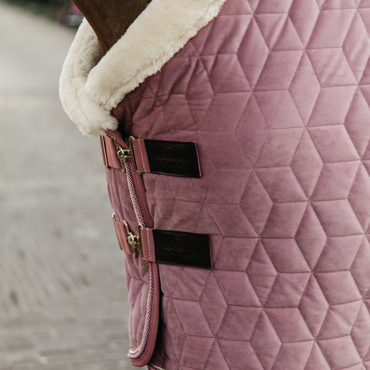 Kentucky Show Rug Velvet