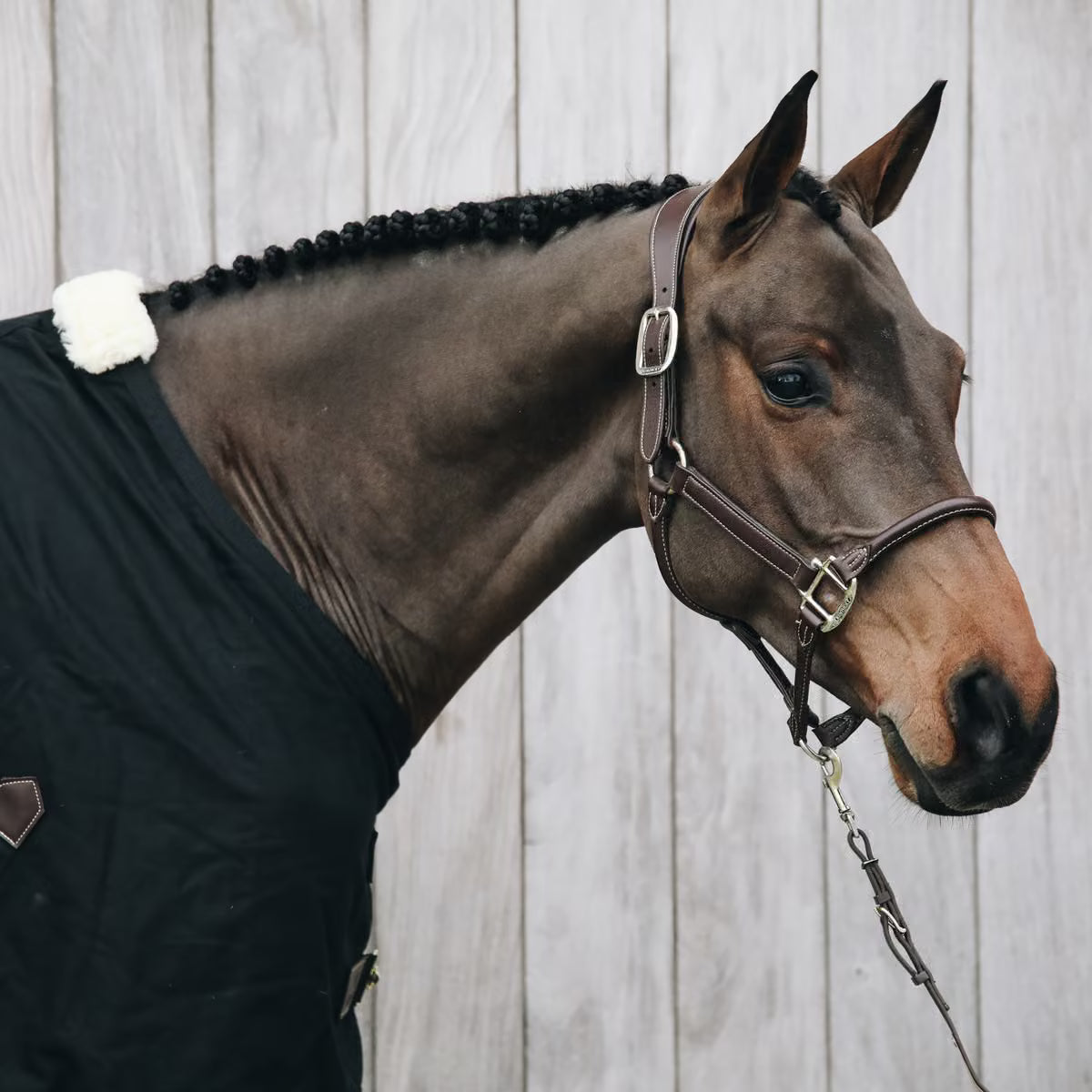 Kentucky Anatomic Leather Halter