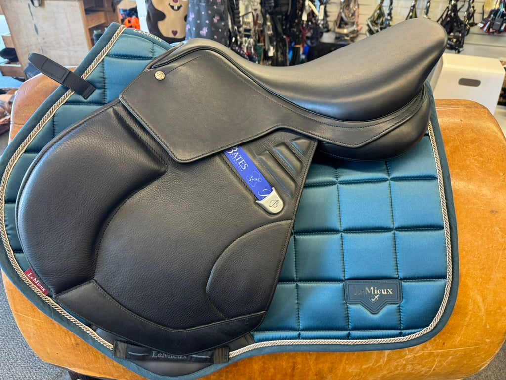 Bates Apex Springsadel