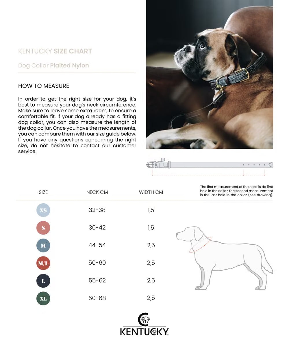 Kentucky Flettet Nylon Hundehalsbånd
