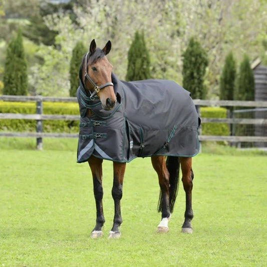 Weatherbeeta Comfitec Plus Dynamic II med hals, 220g - str. 115