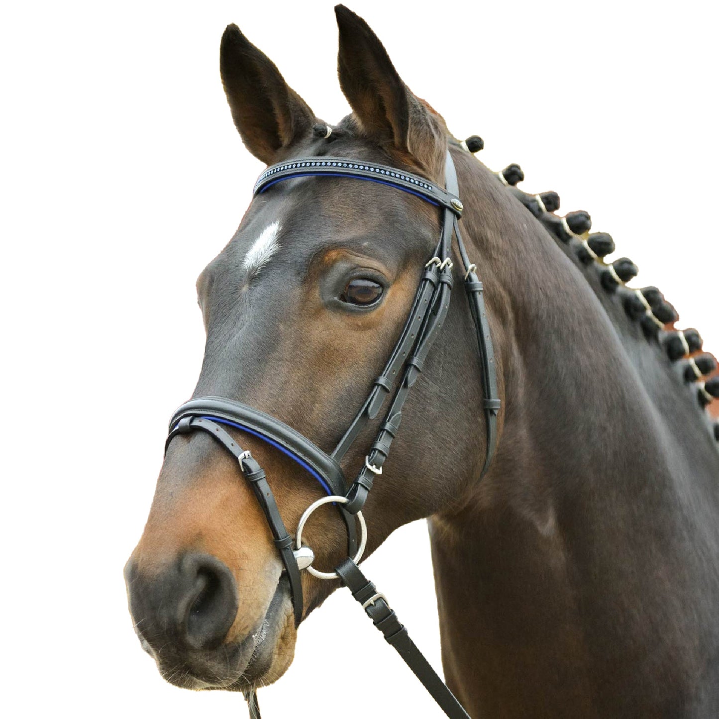 STAR Bridle Diamond - Blå 21