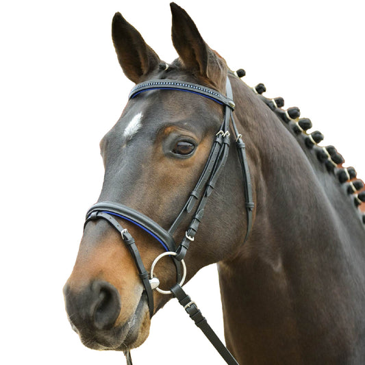 STAR Bridle Diamond - Blå 21