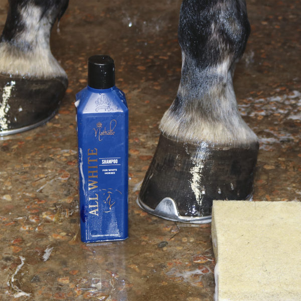 Nathalie Horse Care All White Shampoo 3