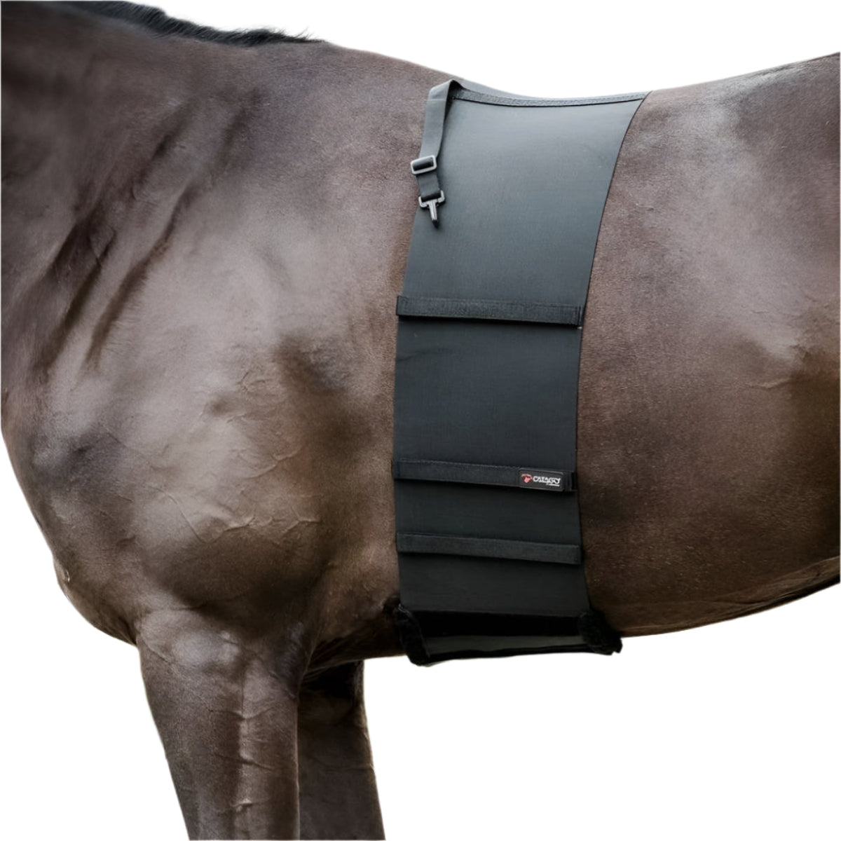 Catago Body Shield 1