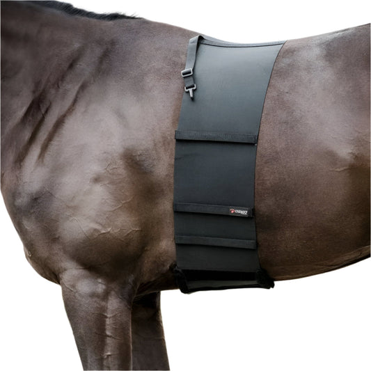 Catago Body Shield 1