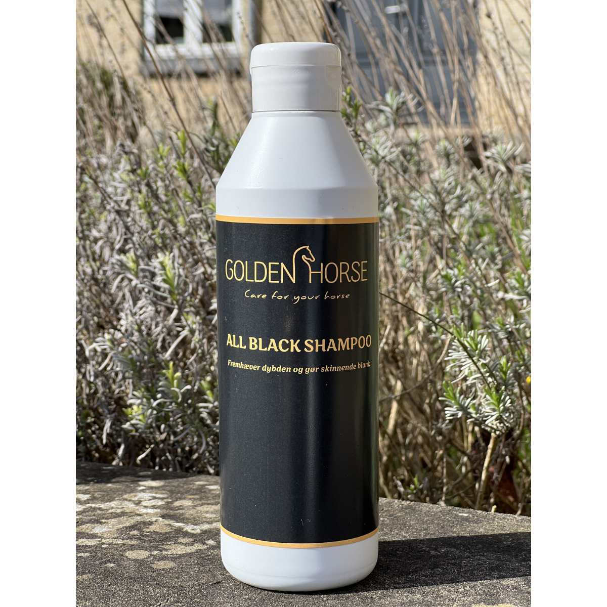 Golden Horse All Black shampoo 2