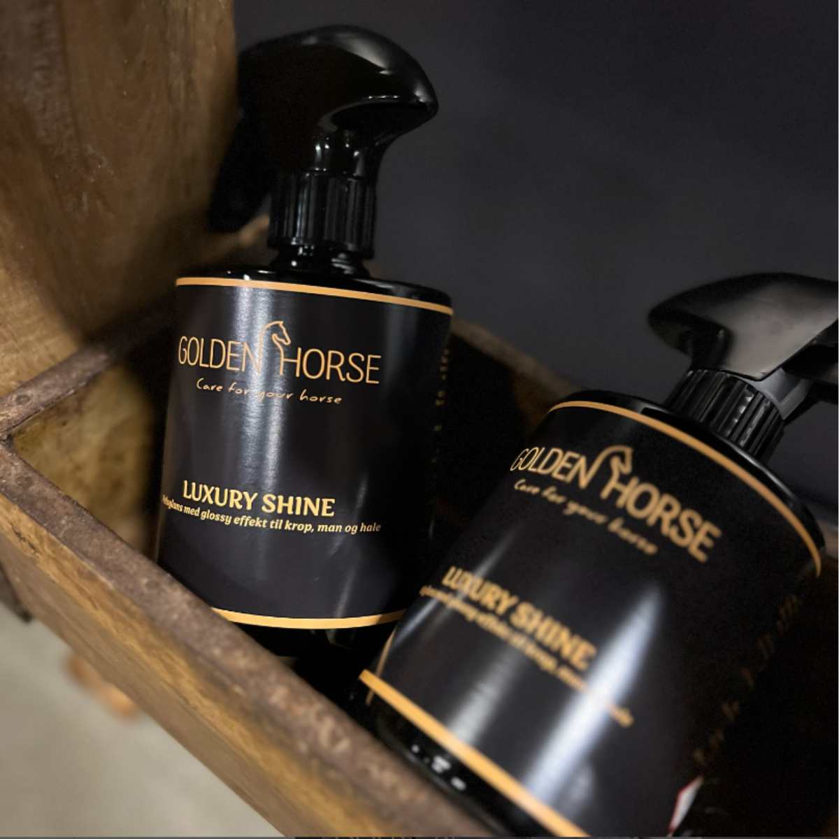 Golden Horse Luxury Shine 2
