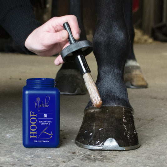 Nathalie Horse Care Hoof Oil 2