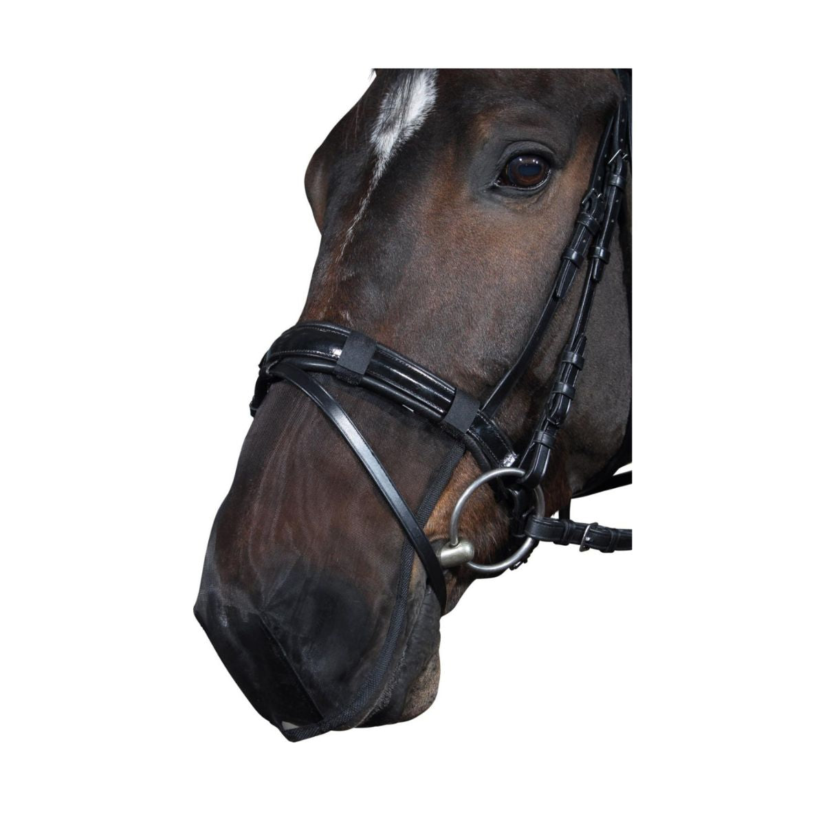 HorseGuard Mulenet