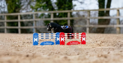 LM Toy Pony Jump Set