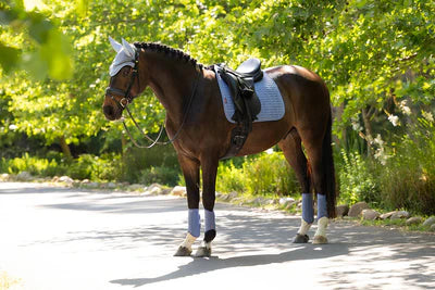 LeMieux Suede dressage Square SS26