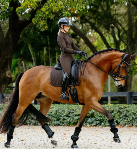 LeMieux - Brilliance dressur, Full