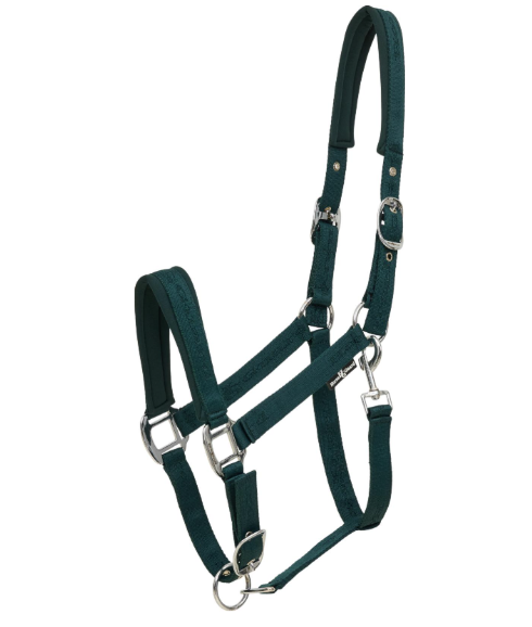 Horse Guard Diya grime 2.0