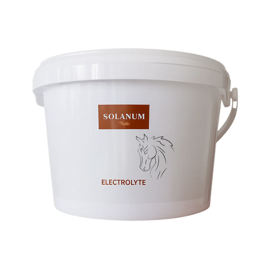 Solanum Electrolyte Equine - Elektrolytter