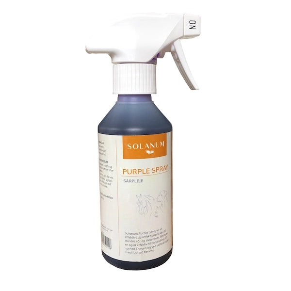 Solanum Purple Spray
