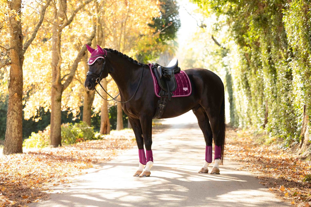 LeMieux Loire Classic Square Dressurunderlag AW26