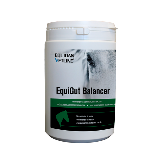 Equidan Vetline EquiGut Balancer 750g