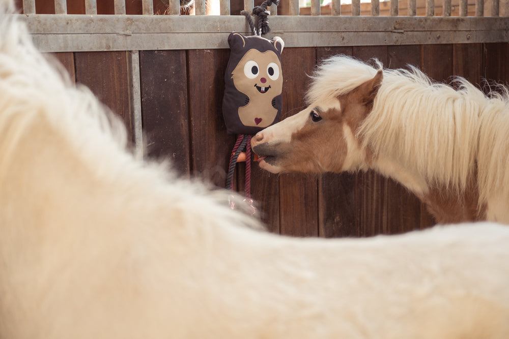 Eskadron HAMSTER - Horse Toy