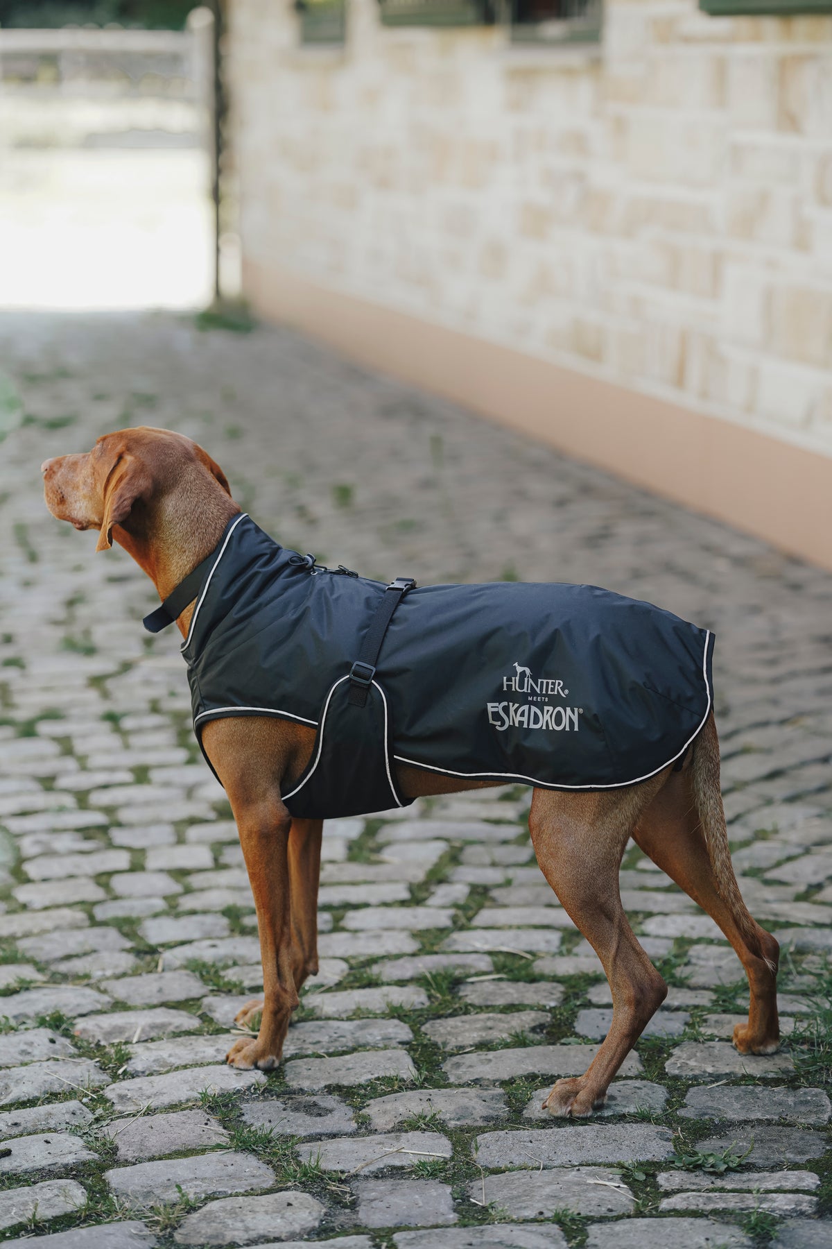 Eskadron Vario Vinterdækken til Hund